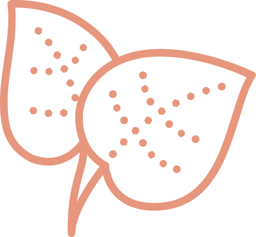 AYURVEDIC